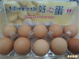 香園教養院的快樂咕咕雞公益自足農場，日產約400顆「好心蛋」，歡迎大家採購